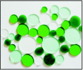 Heidi Grace - wood acrylic circles  (sold in 3's)